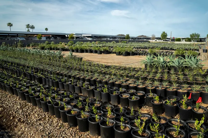 南宁市广告标识标牌工程项目质量管控与验收标准探讨